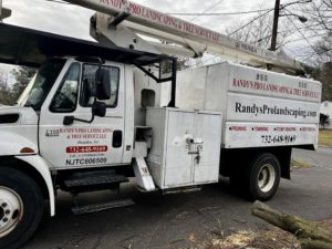 Tree Service in Piscataway,NJ on Orchard Rd