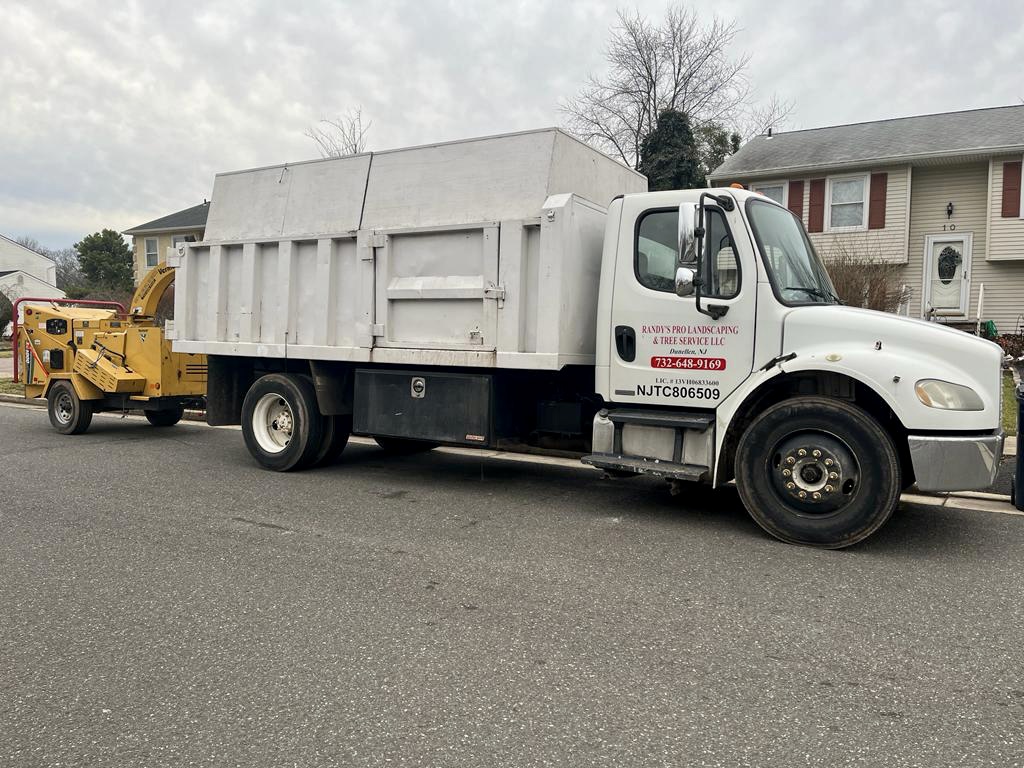 Tree Service Job in Piscataway
