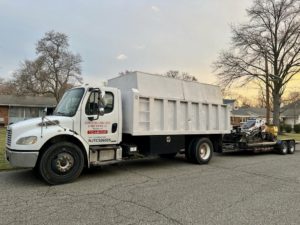 Tree Service Job in Somerville