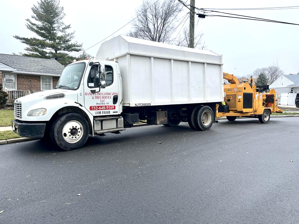 Tree Service Job in Edison