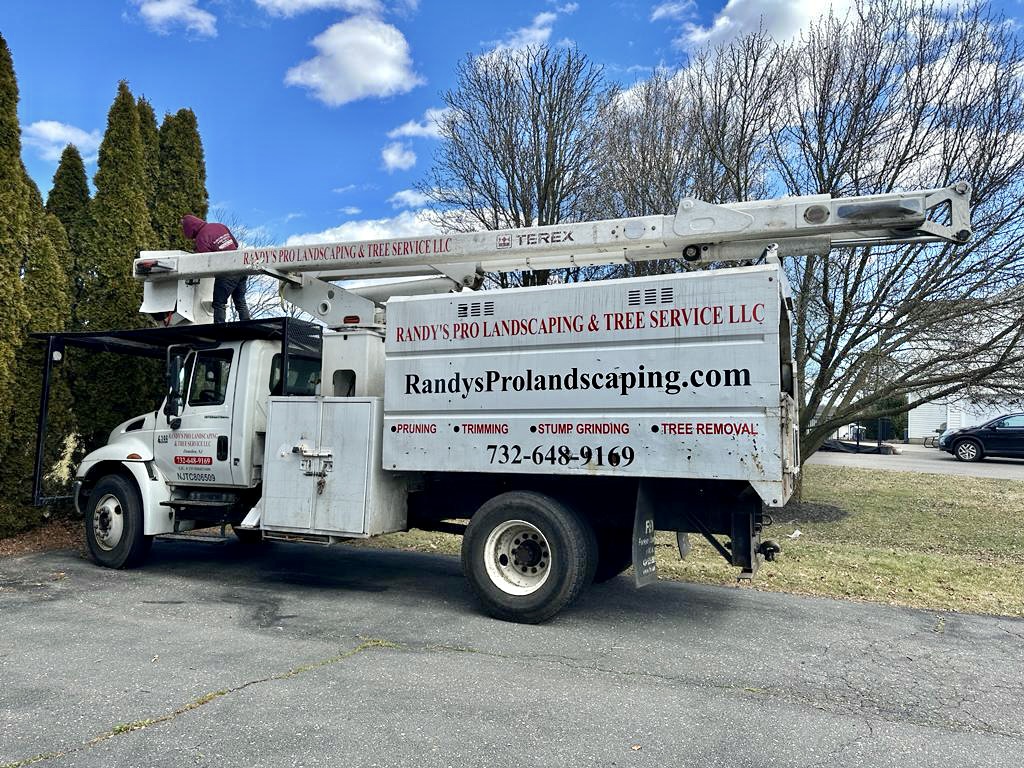 Tree Service in Flemington,NJ on Running Brook Cir