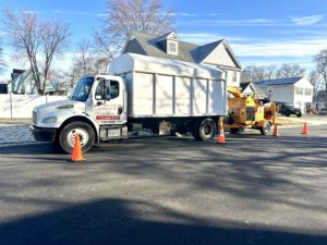 Tree Service in Spotswood,NJ on Hudson Ave