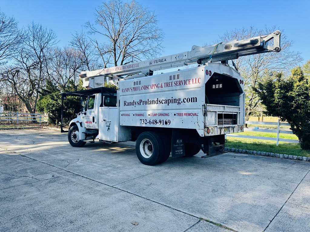 Tree Service in Flemington,NJ on Parker Ave