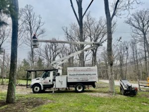 Tree Removal in Martinsville,NJ on Vosseller Ave