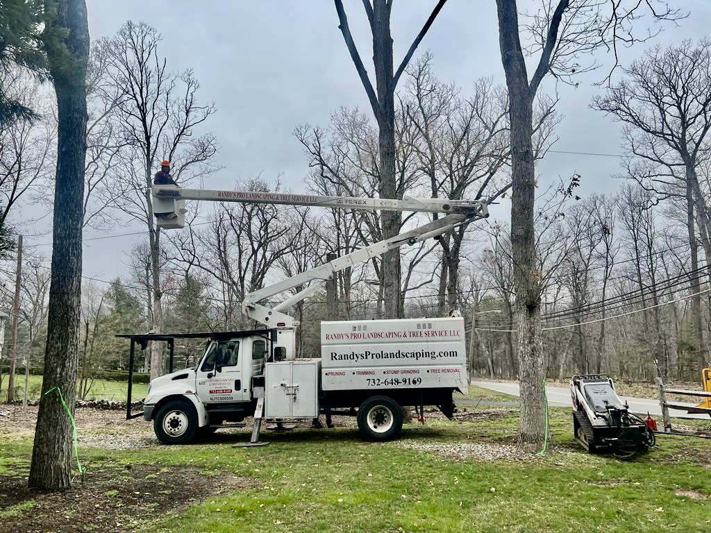 Tree Service Job in Martinsville