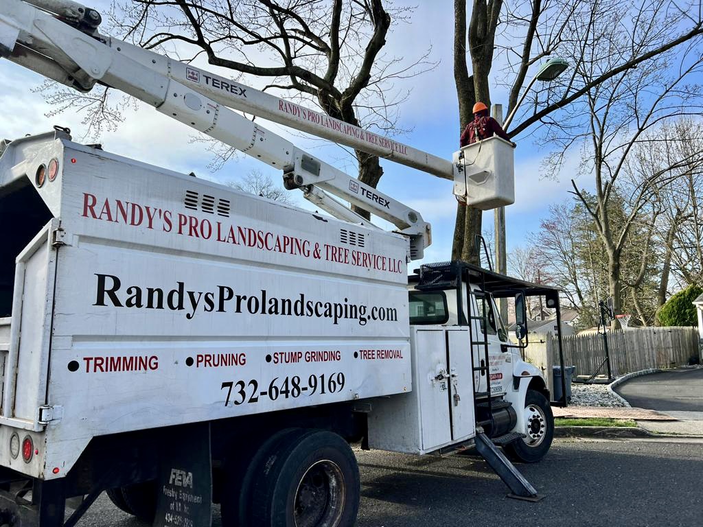 Tree Service Job in Middlesex