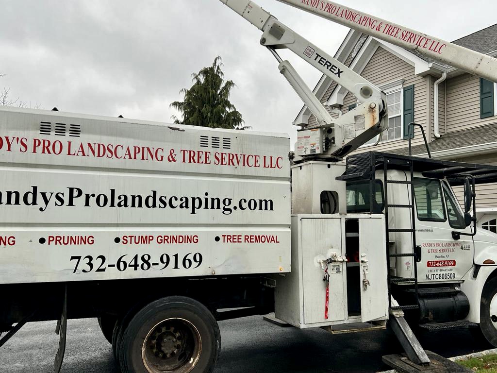 Tree Service in Piscataway,NJ on Maplehurst Ln