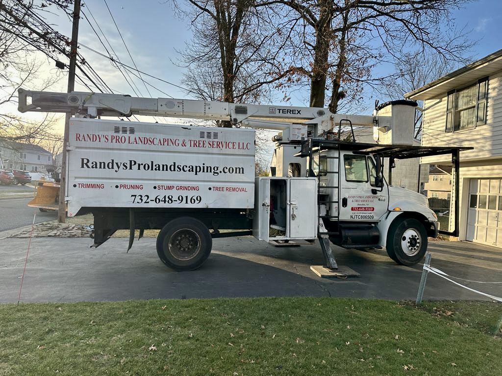 Tree Service in Piscataway,NJ on Blackford Ave