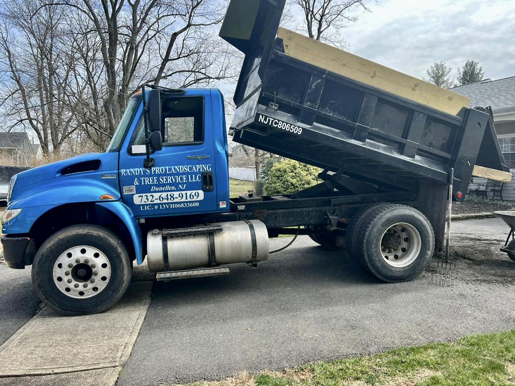 Tree Service Job in Piscataway