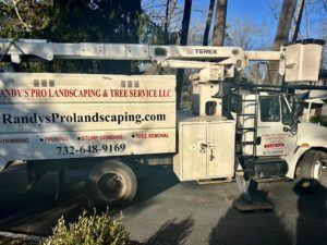 Tree Removal in Warren,NJ on Old Smalleytown Rd