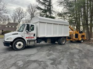 Tree Service in Warren,NJ on Kalman Ct