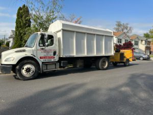 Tree Service in Colonia,NJ on Archangela Ave