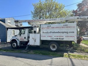 Tree Service Job in Dunellen