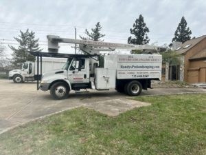 Tree Removal in Flemington,NJ on Parker Ave