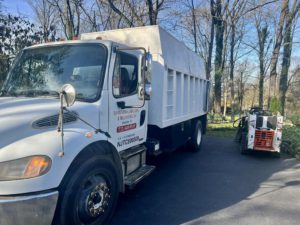 Tree Service in Somerville,NJ on Lamington Rd