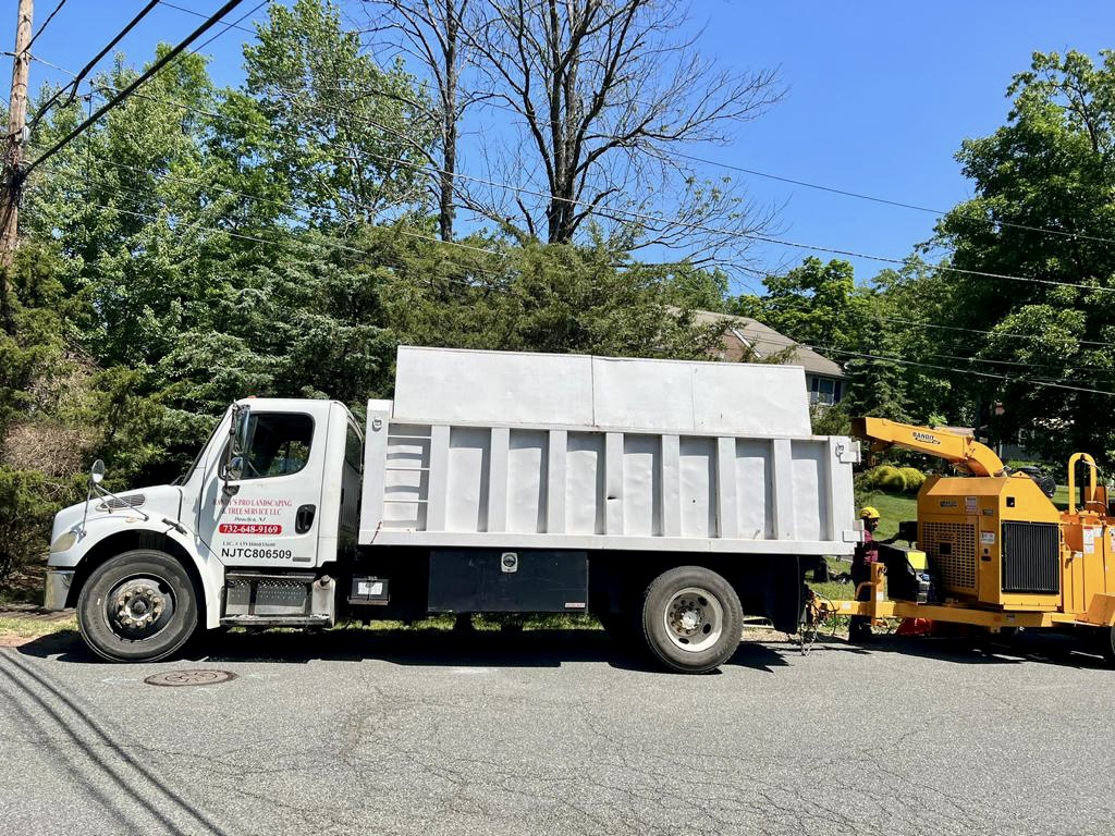 Tree Service in Bridgewater,NJ on Barbara Dr