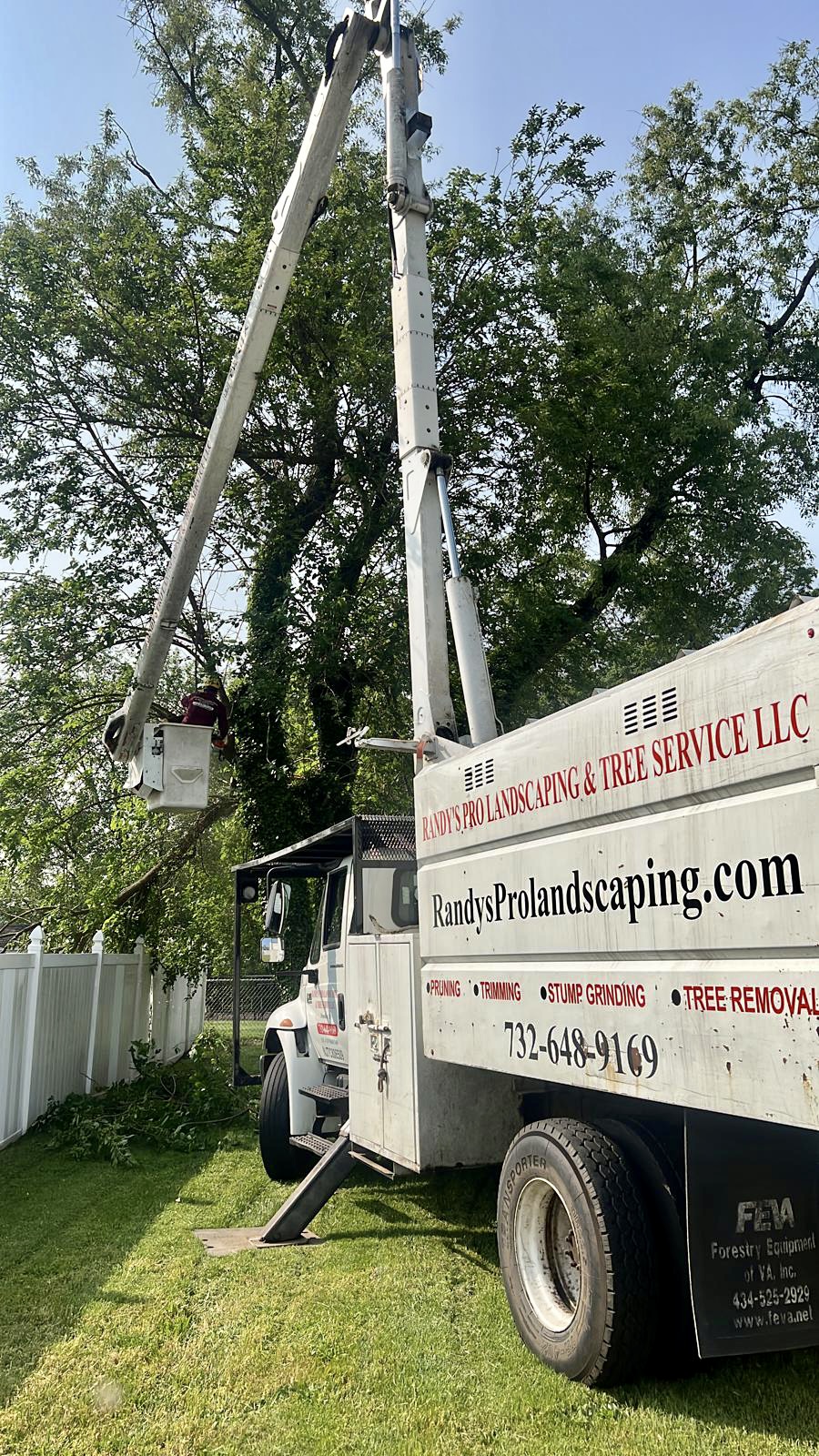 Tree Service Job in Dunellen