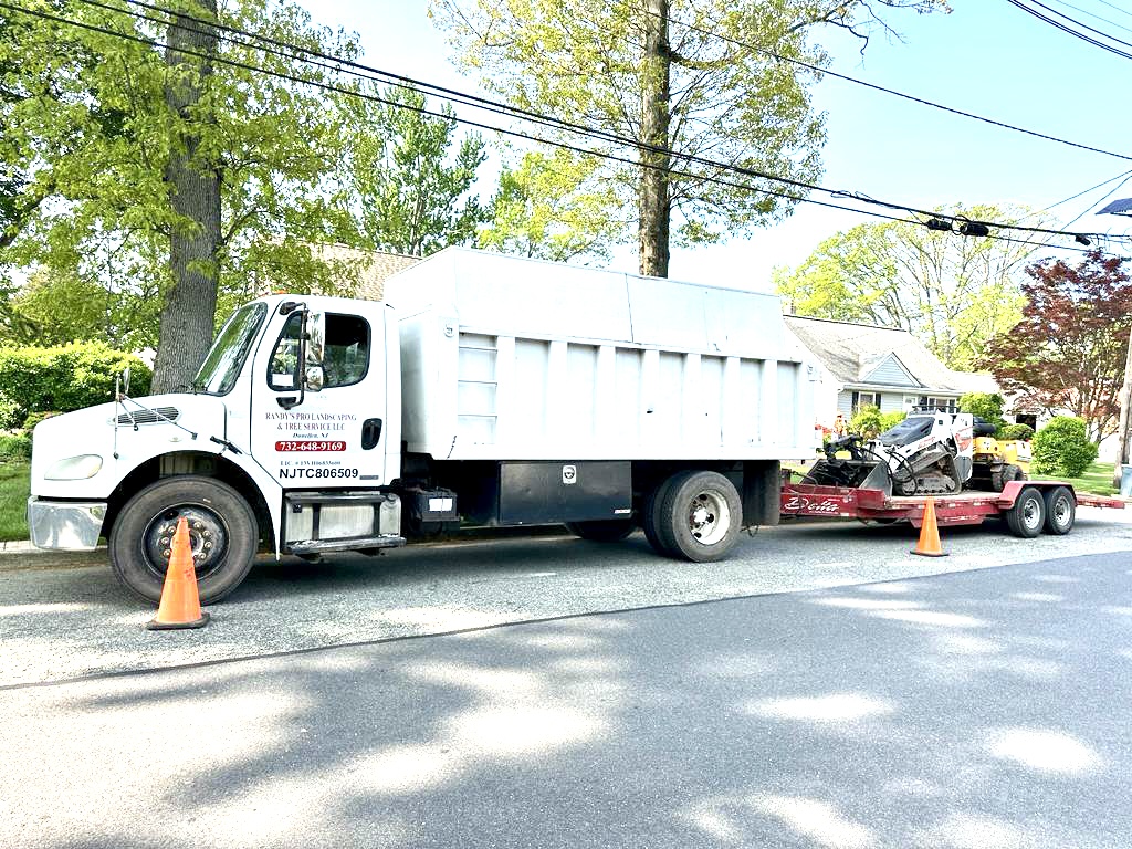 Tree Service in East Brunswick,NJ on Sherwood Ave