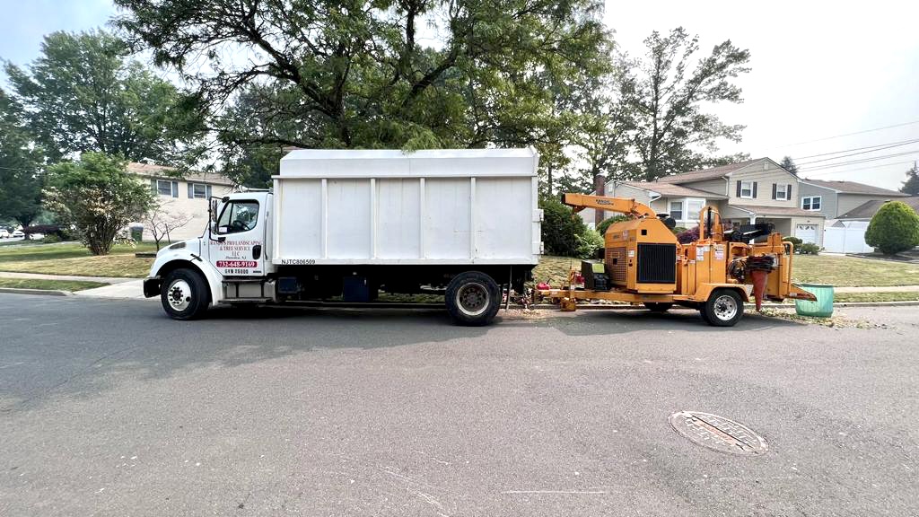 Tree Service in Edison,NJ on S Locust Ave