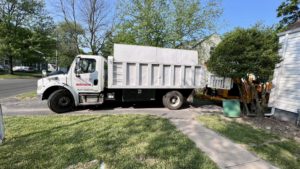 Tree Service in Fanwood,NJ on Shady Ln