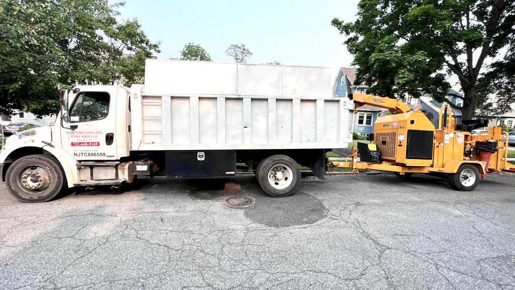 Tree Service in Maplewood,NJ on Baldwin Rd