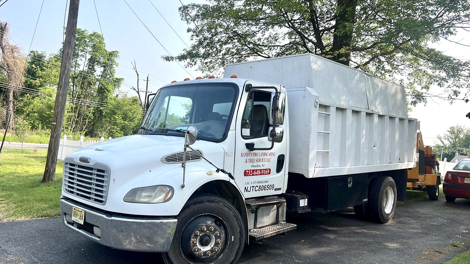 Tree Removal in Piscataway,NJ on Sherman Ave