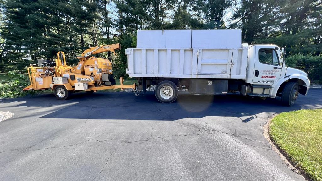 Tree Service in Whitehouse Station,NJ on Old Farm Rd