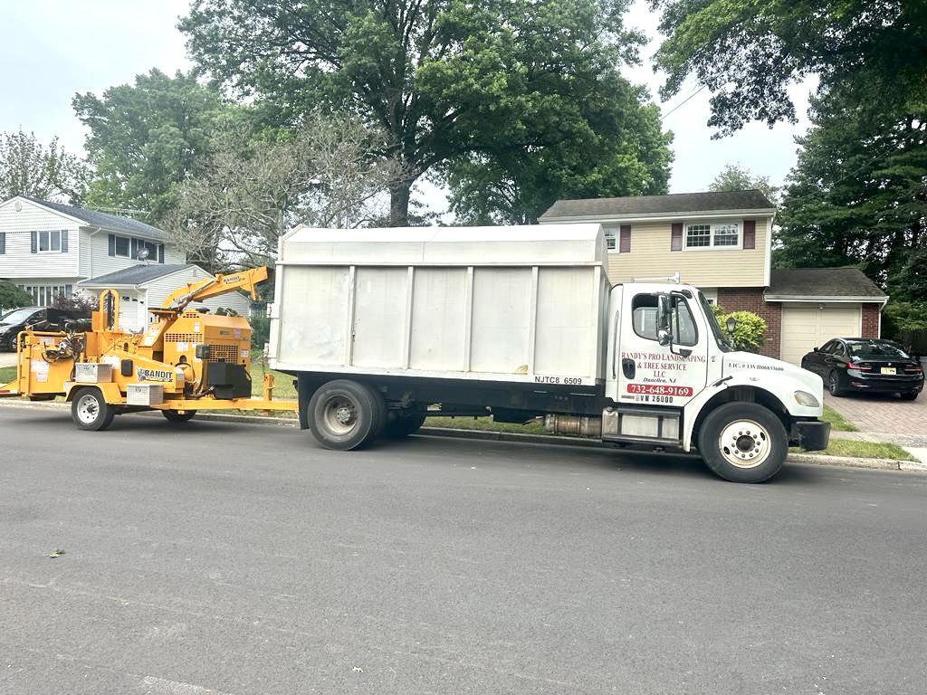 Tree Service in East Brunswick,NJ on Gulf Rd