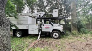 Tree Service in High Bridge,NJ on W Main St