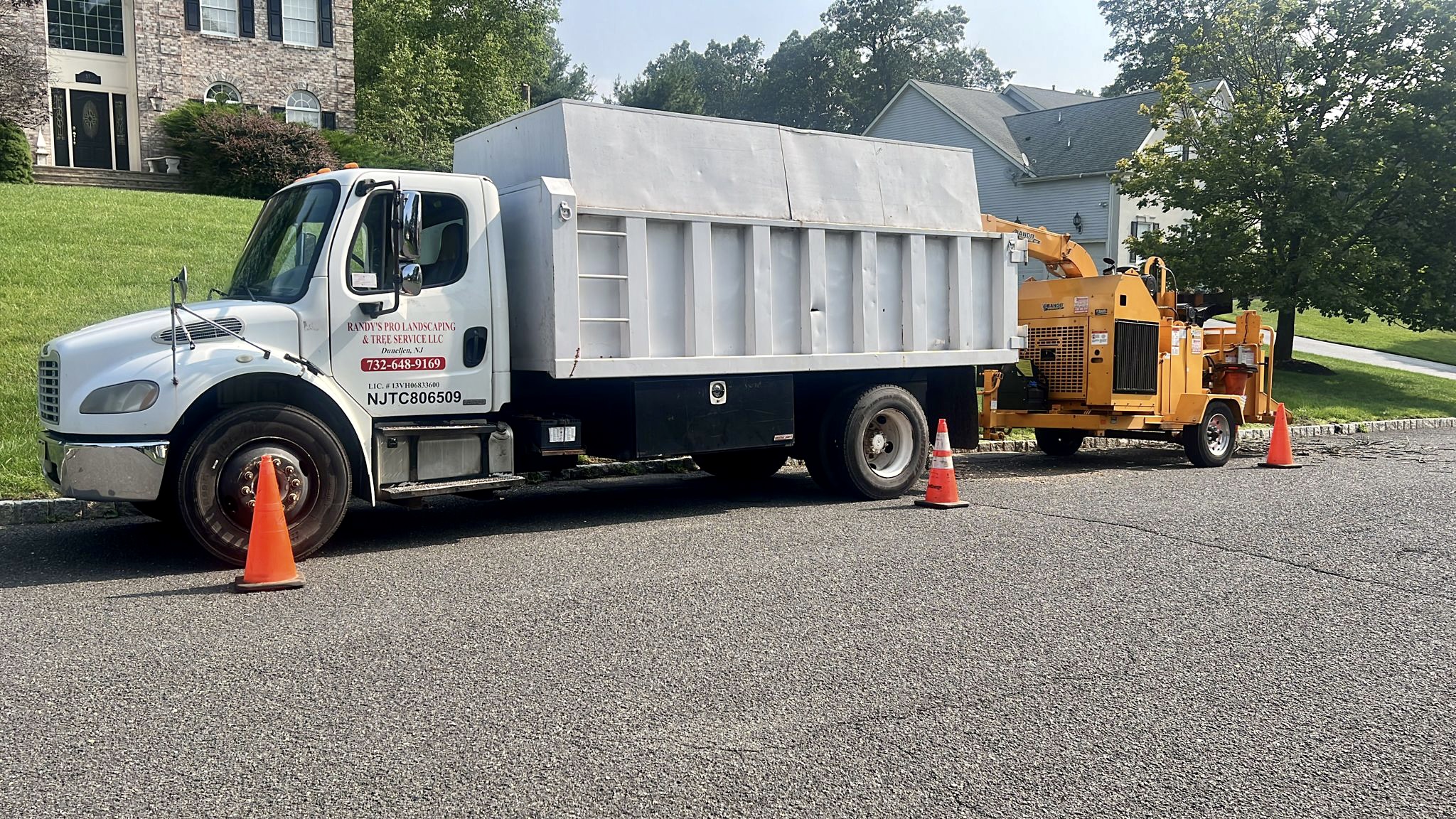 Tree Service Job in Martinsville