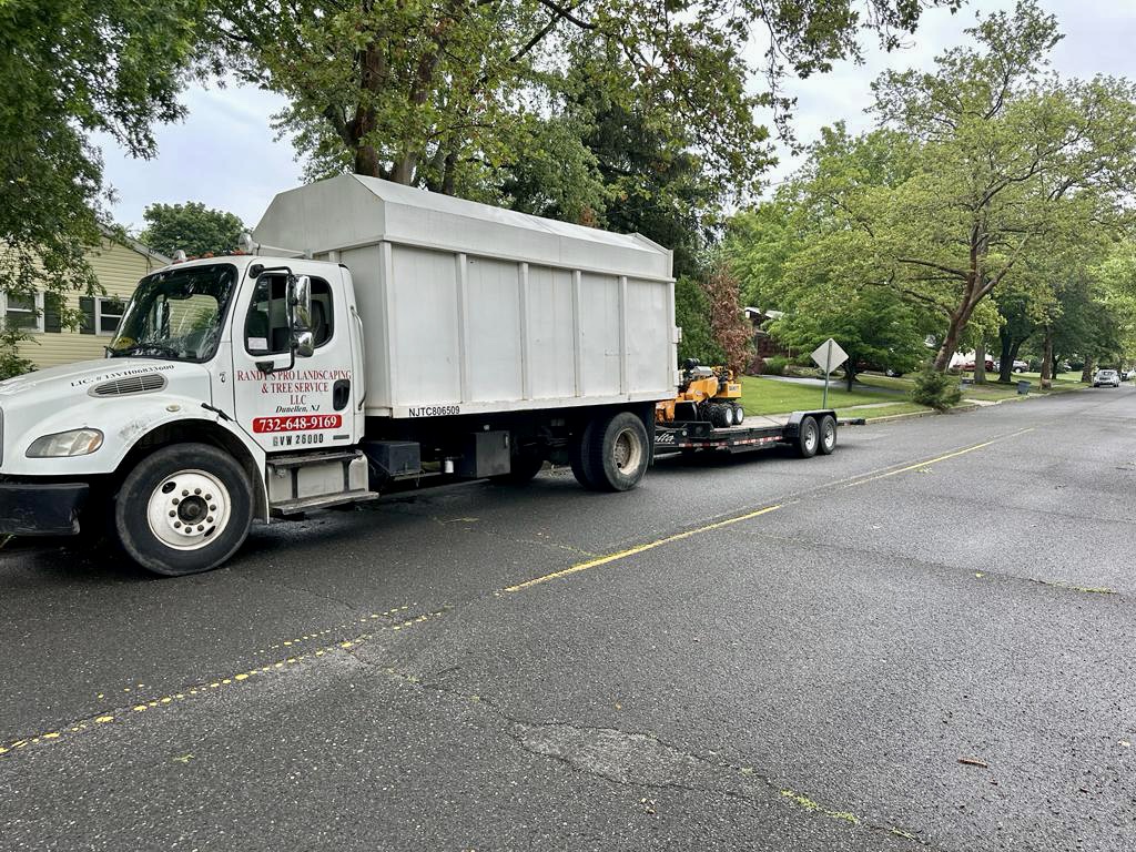 Tree Service in Piscataway,NJ on Wade St