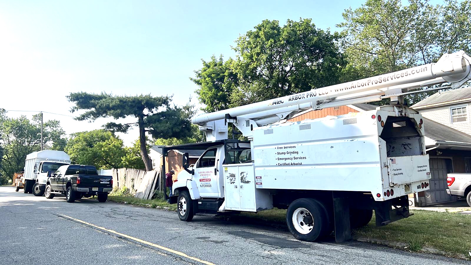 Tree Service in Somerset,NJ on Irvington Ave