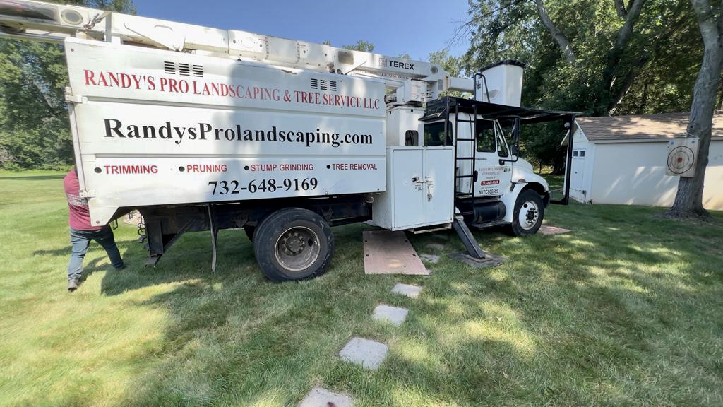 Tree Service in Bridgewater,NJ on Sunnyside Terrace