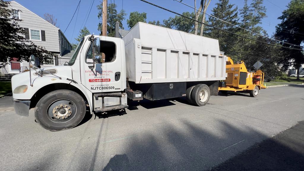 Tree Service in Chatham,NJ on Tallmadge Ave