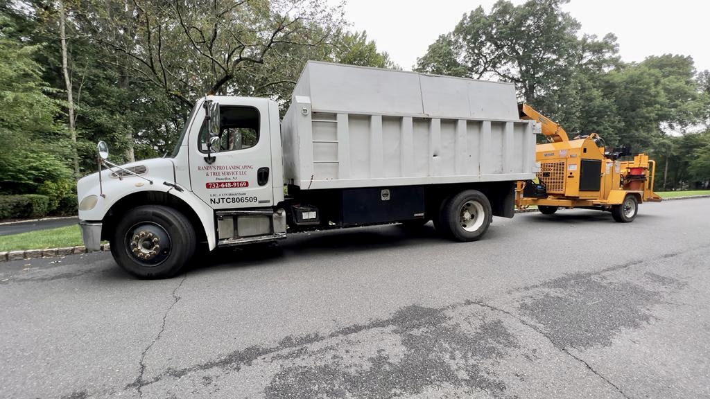 Tree Service in Chatham,NJ on Van Houton Ave