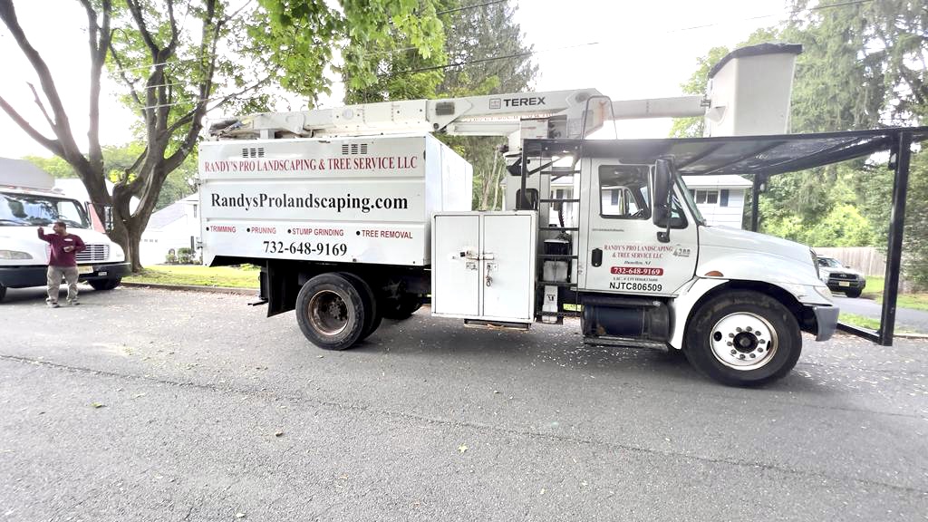 Tree Service in Clinton,NJ on Spruce Run Rd