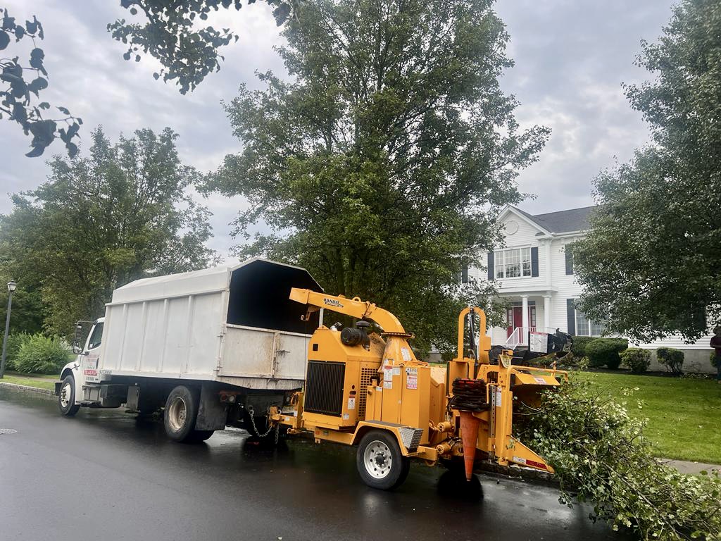 Tree Service in Cranbury,NJ on McKnight Ct