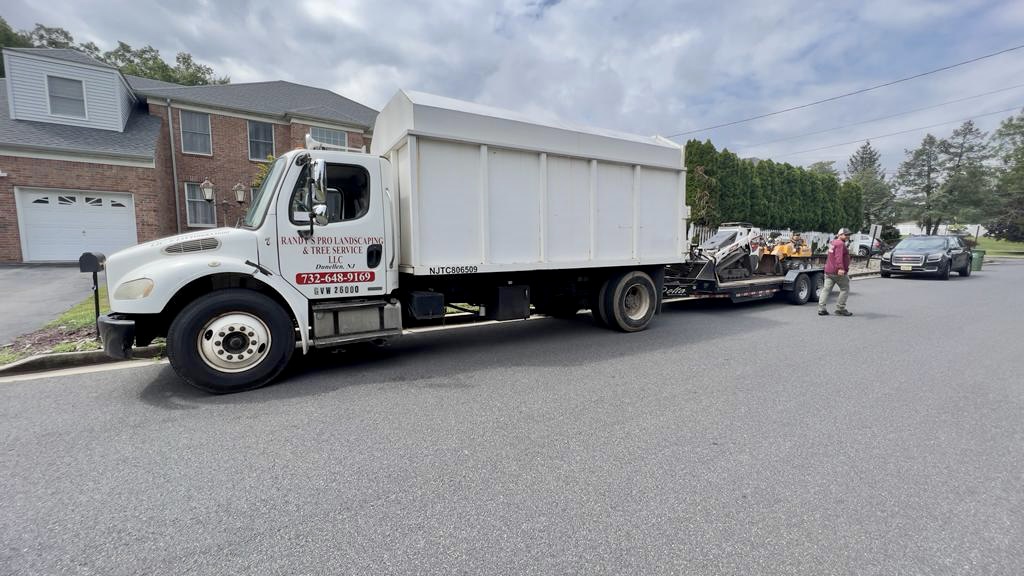 Stump Grinding in Edison,NJ on Freeman Ave