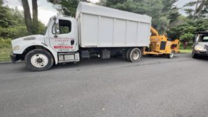 Tree Service in Lebanon,NJ on Cokesbury Califon Rd