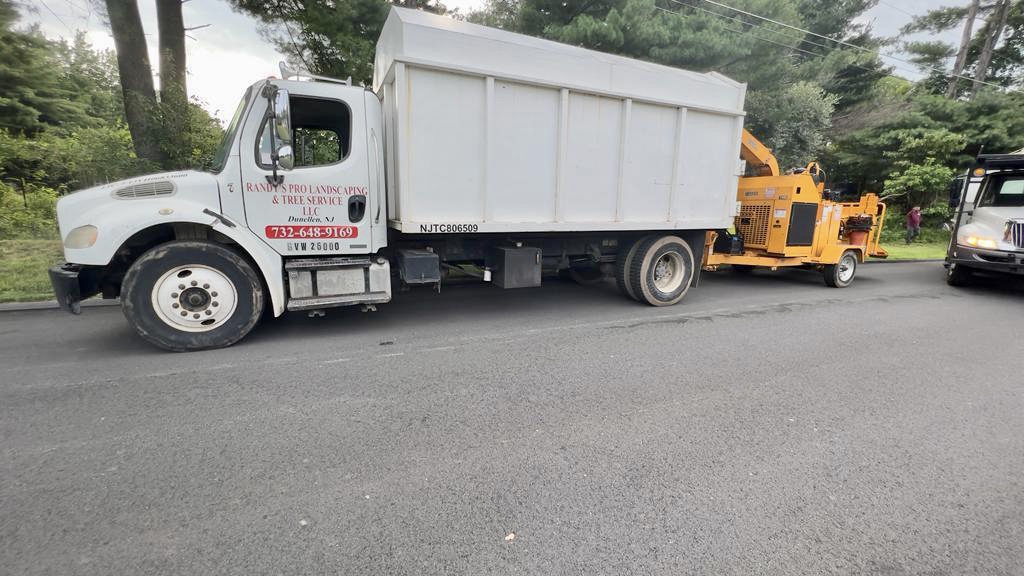 Tree Service in Lebanon,NJ on Cokesbury Califon Rd