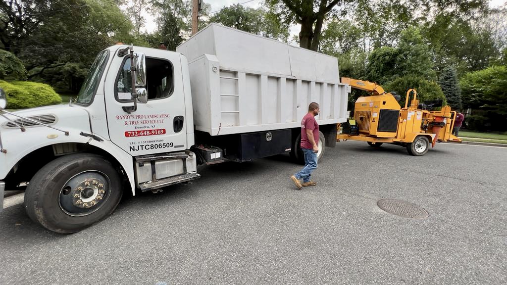 Tree Service in Metuchen,NJ on Beacon Hill Dr