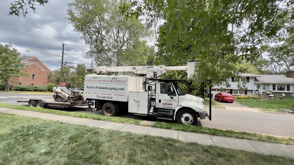 Tree Service in Metuchen,NJ on Woodside Ave