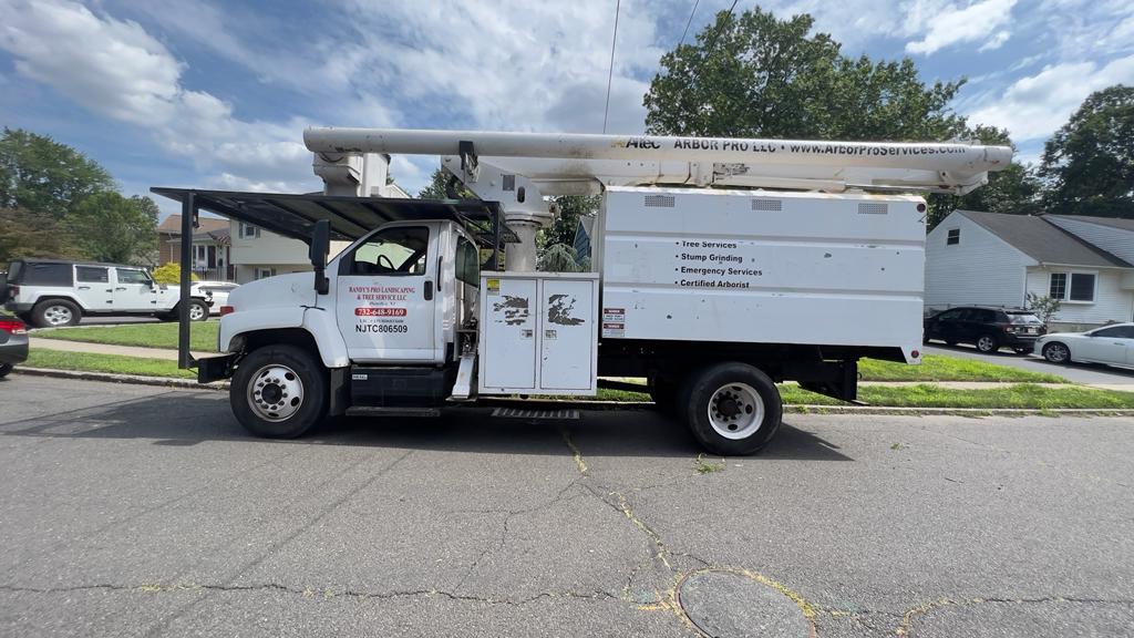 Tree Service Job in Middlesex