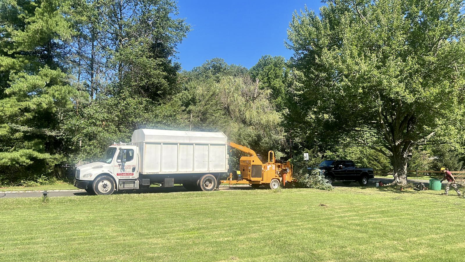 Tree Service in Warren,NJ on Mt Horeb Rd