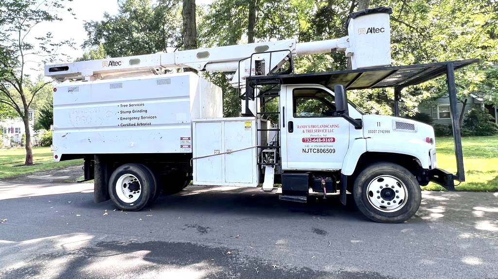 Tree Removal in Warren,NJ on Canterbury Ct