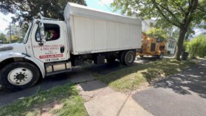 Tree Removal in Westfield,NJ on W Grove St