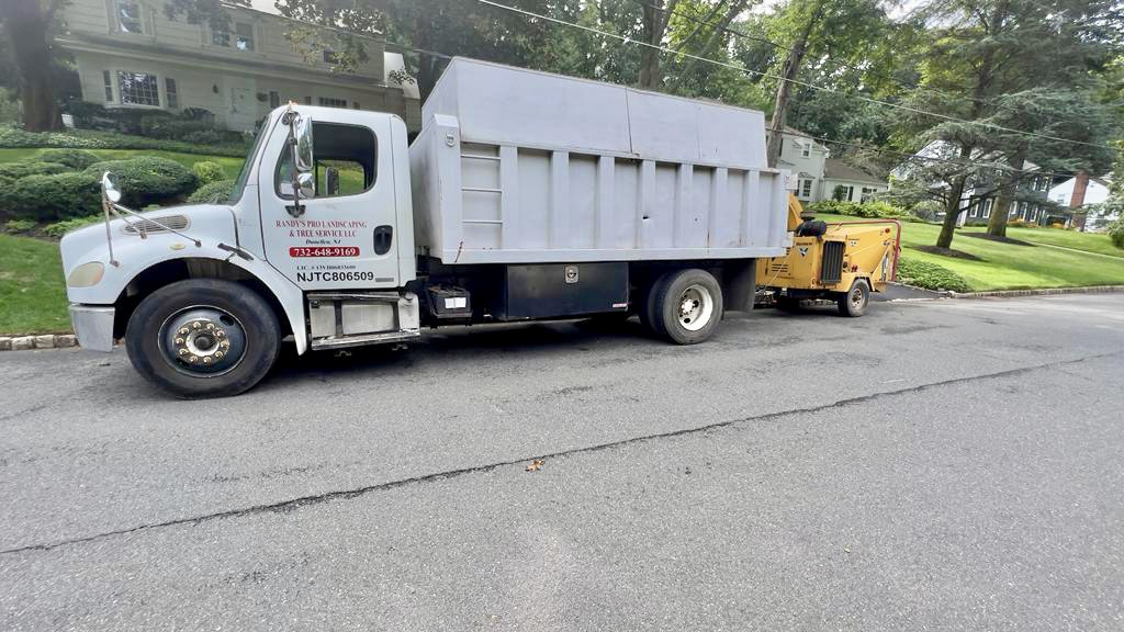 Tree Removal in Chatham,NJ on Van Houton Ave