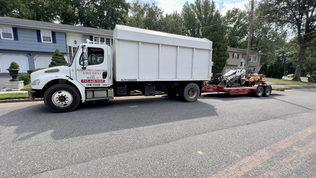 Tree Service Job in Colonia