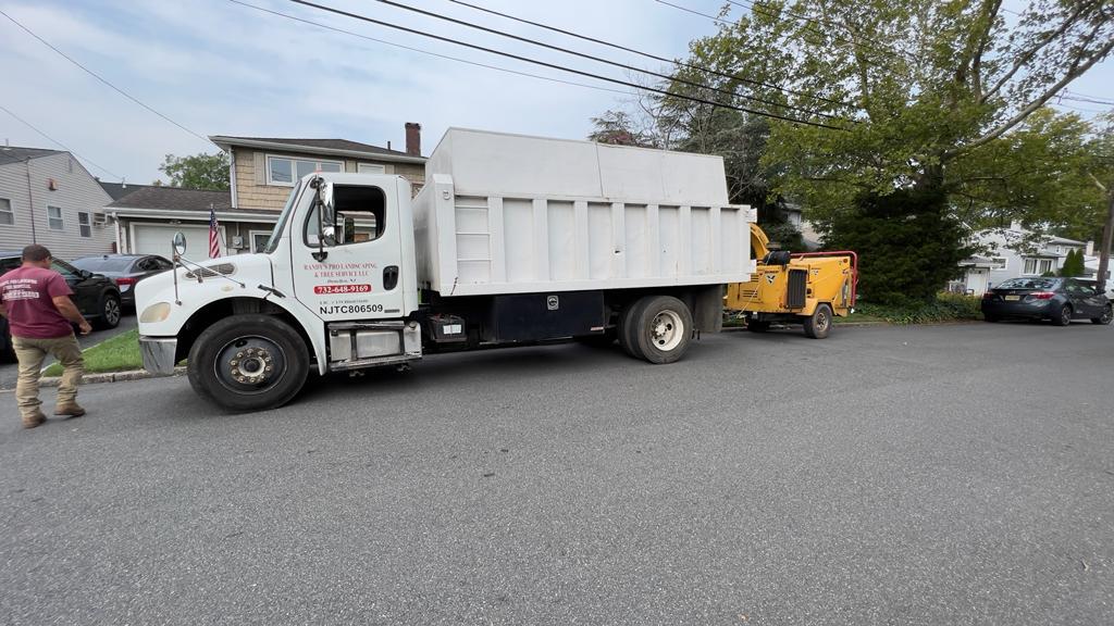 Tree Service Job in Colonia