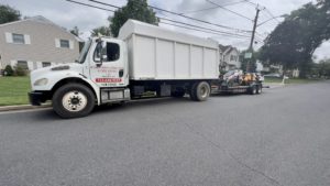 Tree Service in Edison,NJ on Freeman Ave